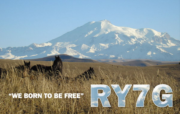 RY7G